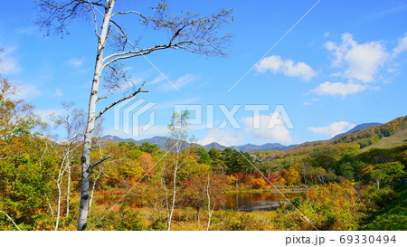 志賀高原秋の青空に映える一沼の紅葉 志賀高原秋の青空に映える一沼の紅葉 69330494