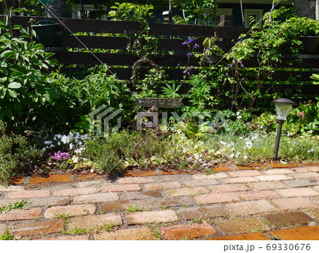 日当たりがよく植物がいきいきする庭 69330676