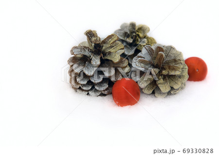fir cone and Christmas ball on snow background 69330828