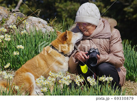 水仙の花畑で愛犬と記念撮影　和歌山県日高郡由良町 69330879