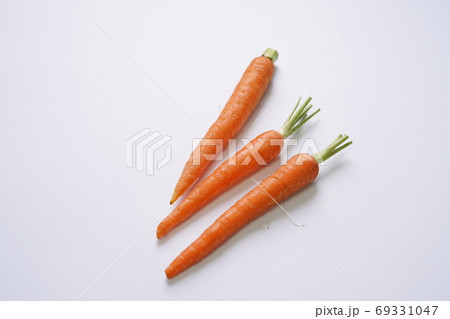 Travel Travel 69331047