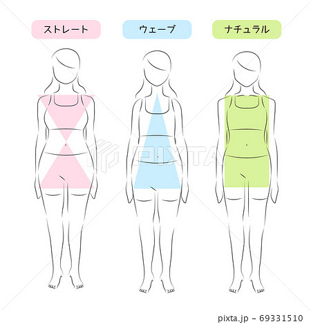 骨格タイプ診断のイラスト素材 69331510