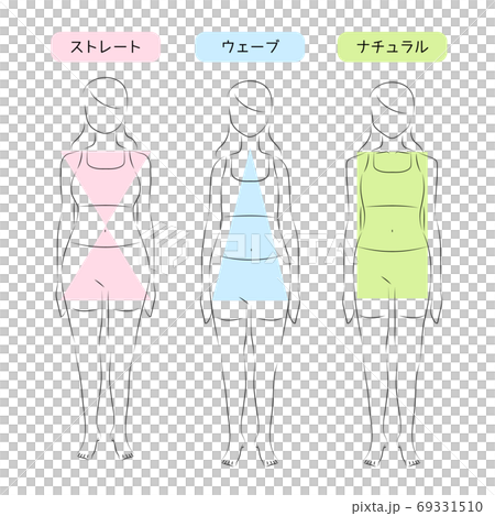 骨格タイプ診断のイラスト素材 69331510
