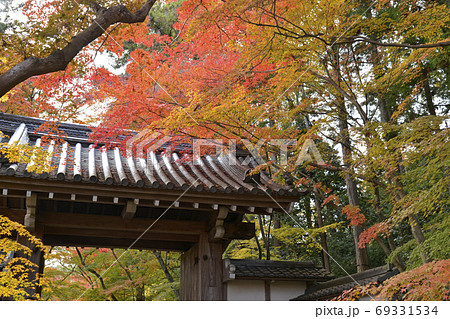 京都 長岡京 光明寺の紅葉 京都府長岡京市の写真素材