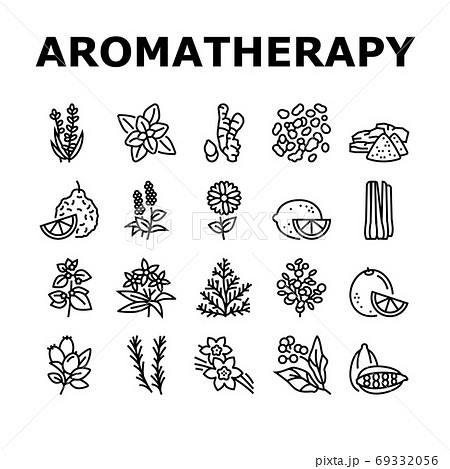 Aromatherapy Herbs Collection Icons Set Vector Illustration Aromatherapy Herbs Collection Icons Set Vector Illustration 69332056