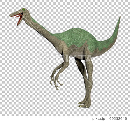 ガリミムス 69332646