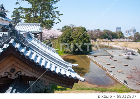桜 さくら サクラ 69332837