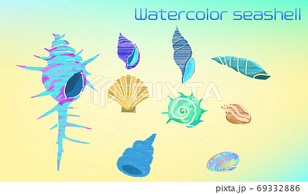 手書き水彩で描いたアートな貝殻のイラストセットのイラスト素材