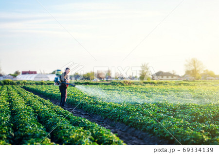 Farmer with a mist sprayer blower processes the potato plantation. Protection and care. Environmental damage and chemical pollution. Use of industrial chemicals to protect crops from insects and fungi 69334139