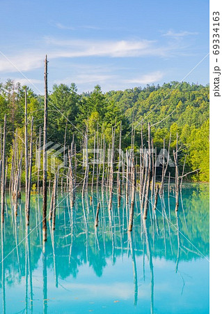 北海道美瑛町 青い池 8月 北海道美瑛町 青い池 8月 69334163