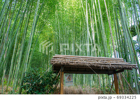 嵐山町 京都嵐山 嵐山渓谷 69334225
