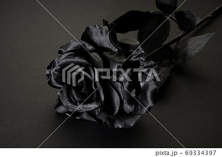 黒い薔薇 黒い薔薇 69334397