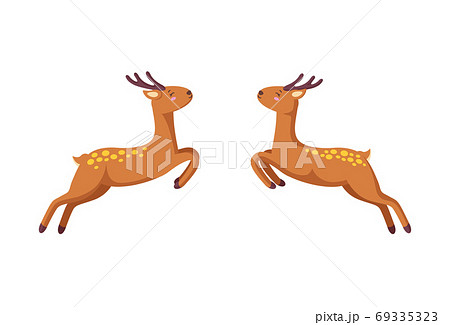 Two reindeers jumping to each other. Woodland deers in cartoon style. Vector illustration 69335323