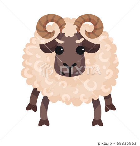 Ram as Farm Animal with Horns Vector Illustration 69335963