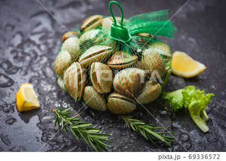 Fresh shell clam with herb ingredients for salad - Seafood shell 69336572