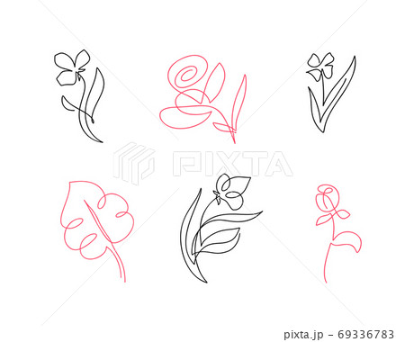 Single Line Flowers Set Stock Illustration  Download Image Now  Flower Line  Art Illustration  iStock