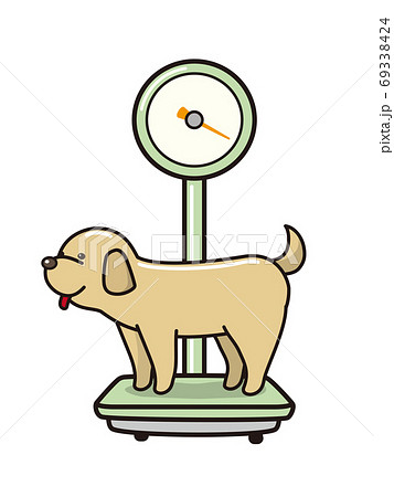 体重計に乗る犬のイラスト素材