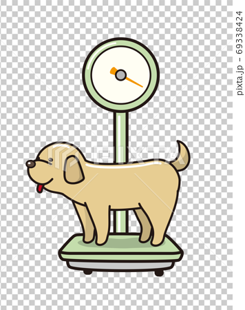 体重計に乗る犬のイラスト素材