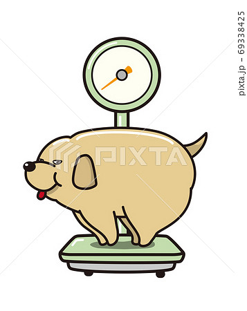 体重計に乗る太った犬のイラスト素材