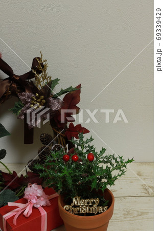 姫ヒイラギの写真素材