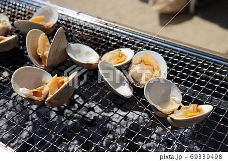 ホンビノス貝 ホンビノス貝 69339498