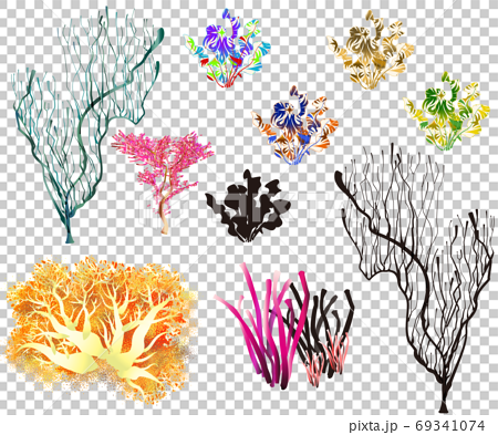 海のサンゴと海藻 カラフルなセットのイラスト素材
