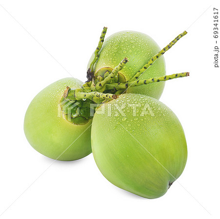 water drop green coconut isolated on white background water drop green coconut isolated on white background 69341617