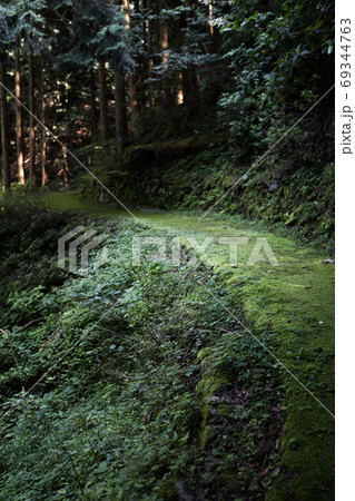 苔生した山道 -別子銅山 東平- 69344763