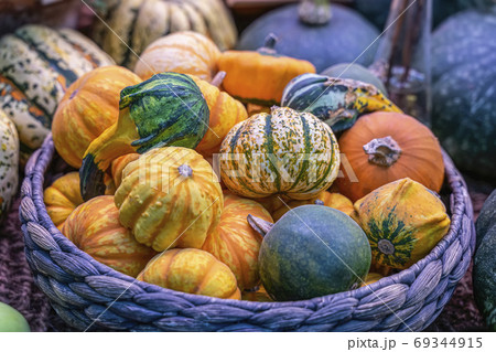 Autumn still life with assorted pumpkins in wicker basket, rustic stile. Thanksgiving and Halloween concept, harvest, colorful background 69344915