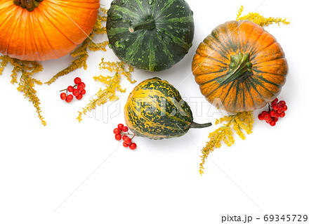 Autumn Pumpkins With Goldenrod And Mountain Ash Autumn Pumpkins With Goldenrod And Mountain Ash 69345729