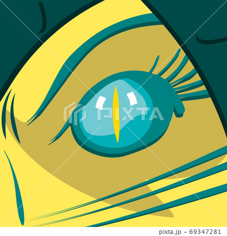 Angry turquoise cat's eye yellow cat warrior in helmet close-up 69347281