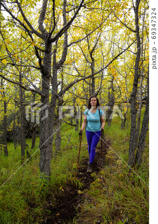 Adventurous Caucasian Girl Hiking up in the beautiful forest Adventurous Caucasian Girl Hiking up in the beautiful forest 69347324