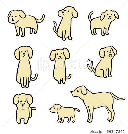 犬いろいろ3 69347862