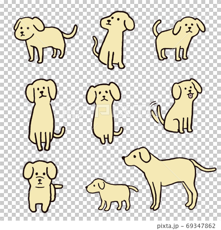 犬いろいろ3 69347862