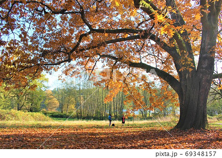 海外のオシャレな紅葉のデート風景 絵葉書みたいな美しい秋の写真素材 [69348157] - PIXTA