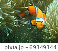 ニモ 69349344