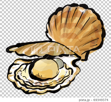 新鮮扇貝1 69349374