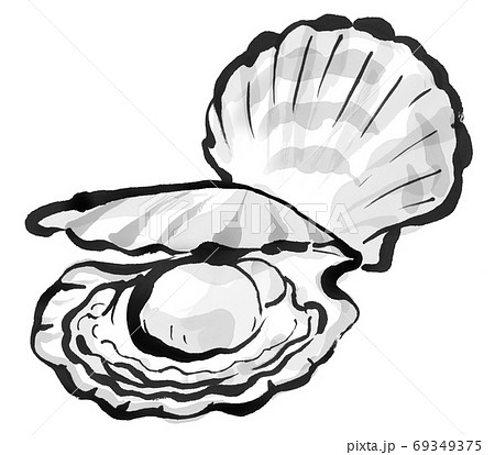 鮮度の良いホタテ3のイラスト素材