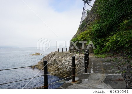 やませの北三陸 ネダリ浜自然歩道 やませの北三陸 ネダリ浜自然歩道 69350541