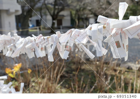 おみくじを結ぶ（御神籤　愛知縣護國神社　愛知県名古屋市） 69351340