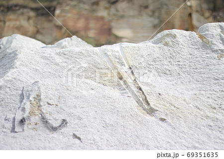 荒い岩肌 荒い岩肌 69351635