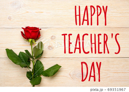 happy teacher's day, red rose on white planks 69351967