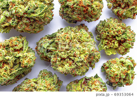 Close up of several colorful cannabis flowers on a white surface Close up of several colorful cannabis flowers on a white surface 69353064