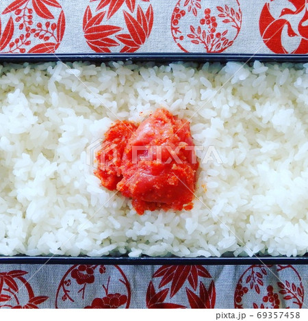辛子明太子の手作り日の丸弁当 辛子明太子の手作り日の丸弁当 69357458