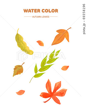 水彩画 葉 木の葉のイラスト素材