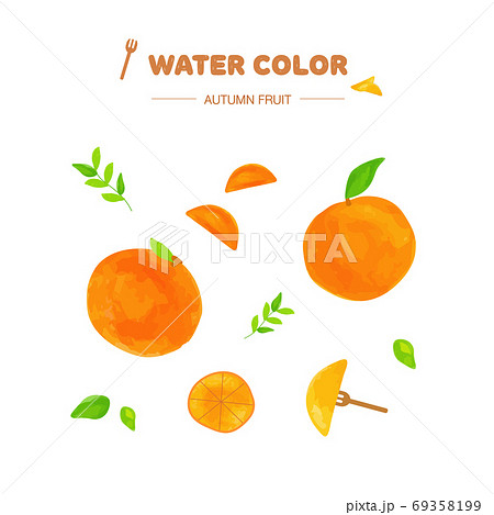 水彩画 葉 木の葉 69358199