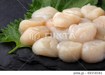帆立貝柱の刺身 帆立貝柱の刺身 69358381