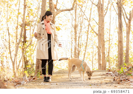 秋の自然の中にいる女性と犬 69358471