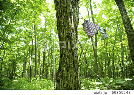 ワーケーションイメージ 69359248