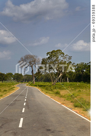 Country road in Sri Lankan national park in the sunshine day 69359388